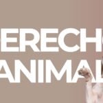 derecho animal libros